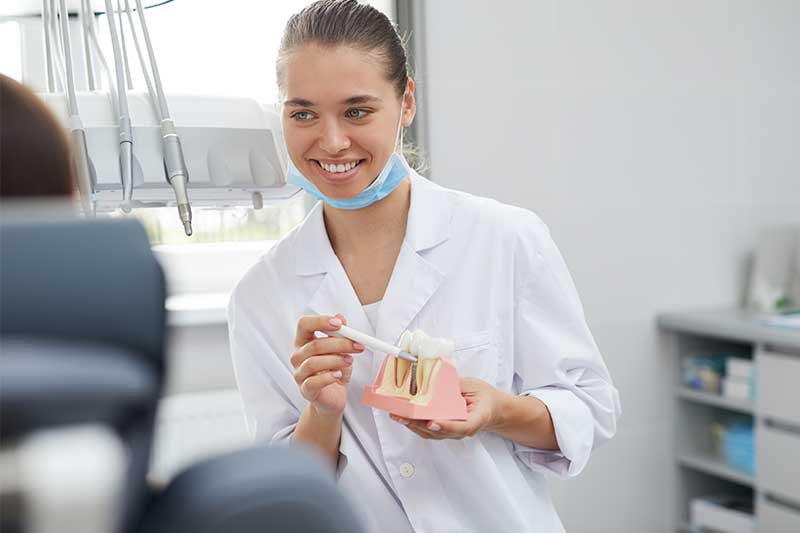 Dentist explaining some points about the implant dentures for her patient